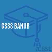 Gsss Banur High School Logo