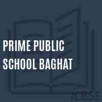 Prime Public School Baghat Logo