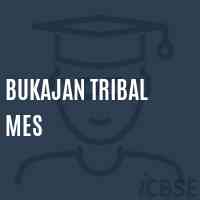 Bukajan Tribal Mes Middle School Logo