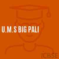 U.M.S Big Pali Middle School Logo