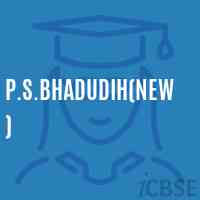 P.S.Bhadudih(New) Primary School Logo
