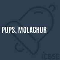 PUPS, Molachur Primary School Logo