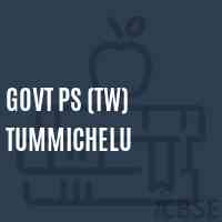 Govt Ps (Tw) Tummichelu Primary School Logo