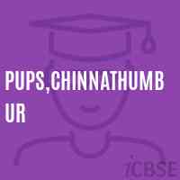 Pups,Chinnathumbur Primary School Logo
