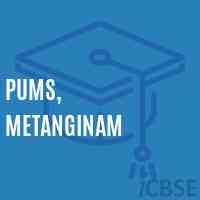 Pums, Metanginam Middle School Logo