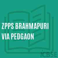 Zpps Brahmapuri Via Pedgaon Primary School Logo