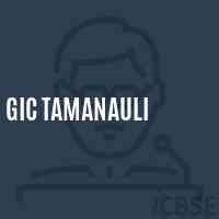 Gic Tamanauli High School Logo