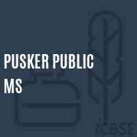 Pusker Public Ms Middle School Logo