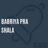 Babriya Pra Shala Middle School Logo