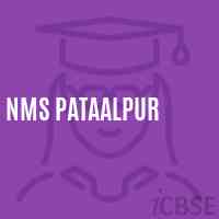 Nms Pataalpur Middle School Logo