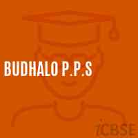 Budhalo P.P.S Primary School Logo