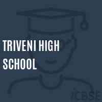 Triveni High School Logo
