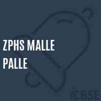 Zphs Malle Palle Secondary School Logo