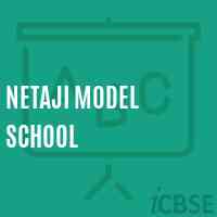 Netaji Model School Logo
