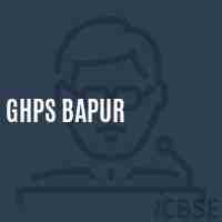 Ghps Bapur Middle School Logo