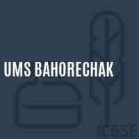 Ums Bahorechak Middle School Logo