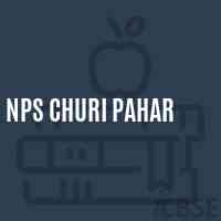 Nps Churi Pahar Primary School Logo