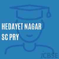 Hedayet Nagar Sc Pry Primary School Logo