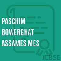 Paschim Bowerghat Assames Mes Middle School Logo