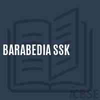 Barabedia Ssk Primary School Logo