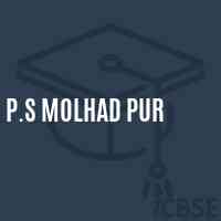 P.S Molhad Pur Primary School Logo
