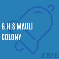 G.H.S Mauli Colony Secondary School Logo