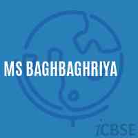 Ms Baghbaghriya Middle School Logo