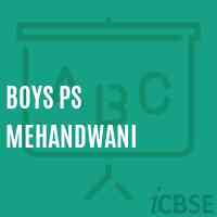 Boys Ps Mehandwani Primary School Logo