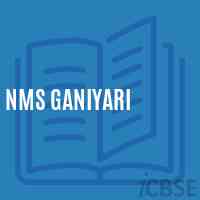 Nms Ganiyari Middle School Logo