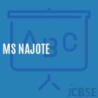 Ms Najote Middle School Logo