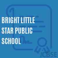 Bright Little Star Public School Logo