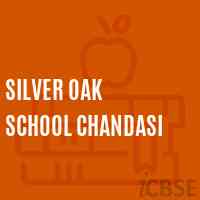 Silver Oak School Chandasi Logo