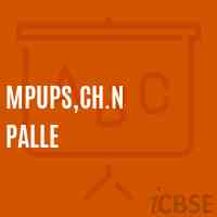 Mpups,Ch.N Palle Middle School Logo