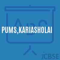 Pums,Kariasholai Middle School Logo