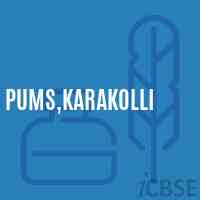 Pums,Karakolli Middle School Logo