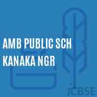Amb Public Sch Kanaka Ngr Secondary School Logo