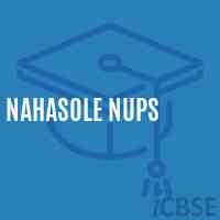 Nahasole Nups Middle School Logo