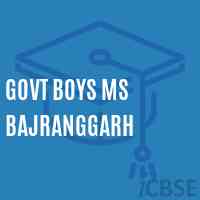 Govt Boys Ms Bajranggarh Middle School Logo