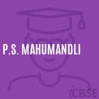 P.S. Mahumandli Primary School Logo