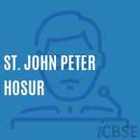 St. John Peter Hosur Primary School Logo