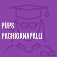 Pups Pachiganapalli Primary School Logo