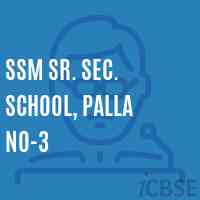 Ssm Sr. Sec. School, Palla No-3 Logo