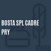 Bosta Spl Cadre Pry Primary School Logo