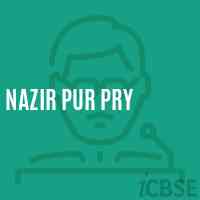 Nazir Pur Pry Primary School Logo