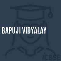 Bapuji Vidyalay Primary School Logo