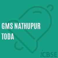Gms Nathupur Toda Middle School Logo