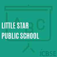 Little Star Public School Logo
