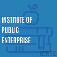 Institute of Public Enterprise Logo