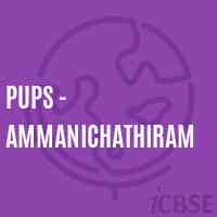 Pups - Ammanichathiram Primary School Logo