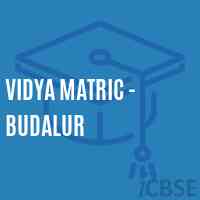 Vidya Matric - Budalur Secondary School Logo